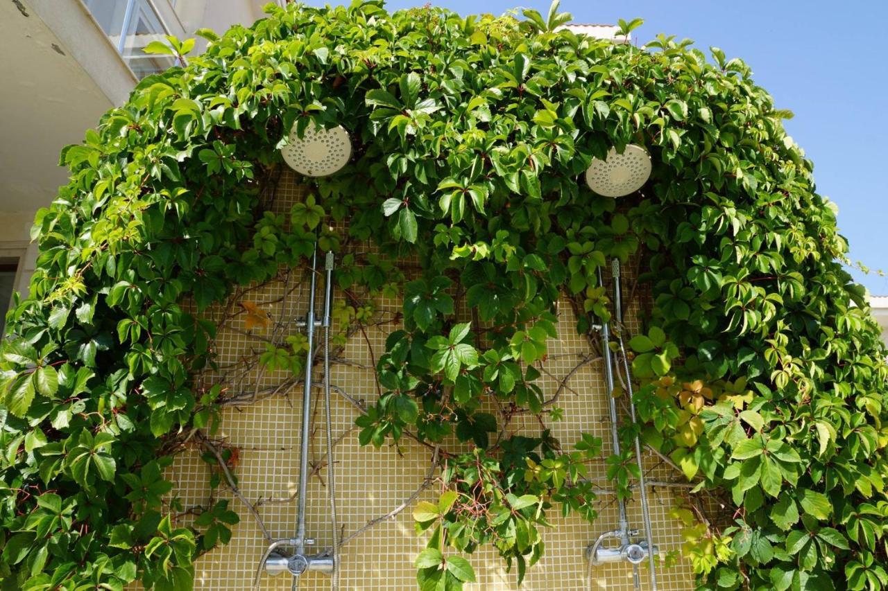 Sun Village Family Houses Byala  Dış mekan fotoğraf